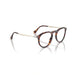 Persol 0PO3387V Pier 24 - Havana Unisex Eyeglasses 51 (XL) 5