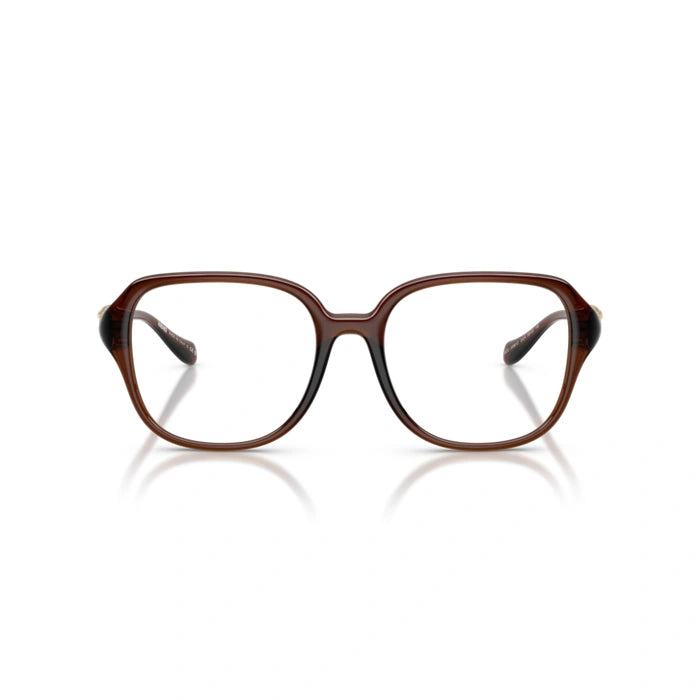 Versace 0VE3386D 5534 - Transparent Brown Woman Eyeglasses 55 (M) 4