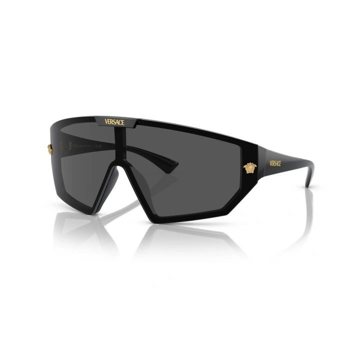 Versace 0VE4461 Gb1/87 - Black Unisex Sunglasses 2
