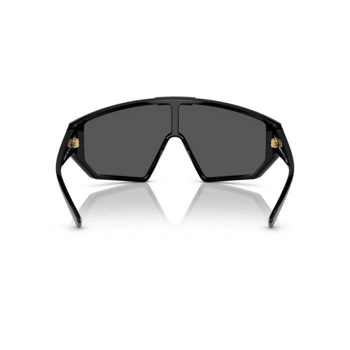 Versace 0VE4461 Gb1/87 - Black Unisex Sunglasses 4