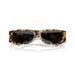 Versace 0VE4476U 777/87 - Brown Yellow Havana Man Sunglasses 5