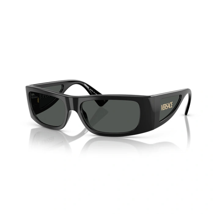 Versace 0VE4482 Gb1/87 - Black Man Sunglasses 6