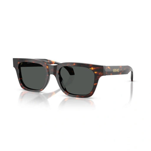Versace 0VE4486 550987 - Havana Man Sunglasses 1