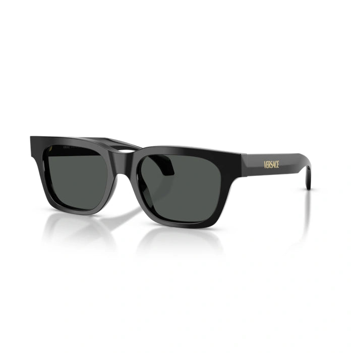Versace 0VE4486 Gb1/87 - Black Man Sunglasses 6