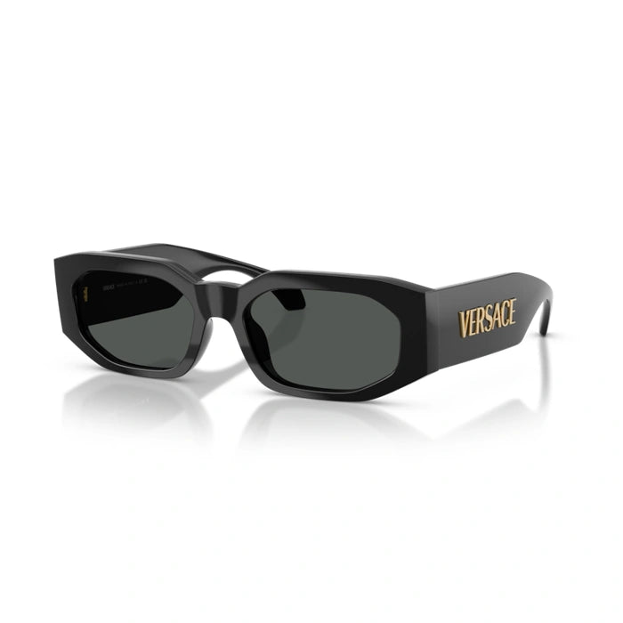 Versace 0VE4489U Gb1/87 - Black Man Sunglasses 7