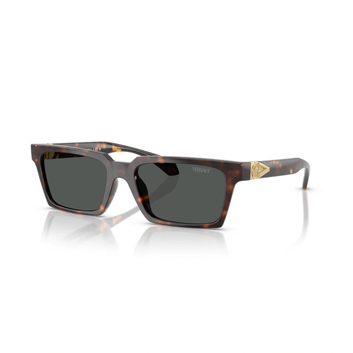 Versace 0VE4490U 108/87 - Havana Man Sunglasses 6