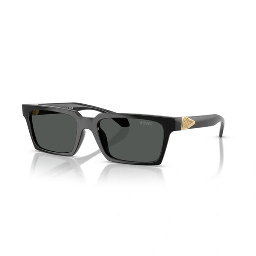 Versace 0VE4490U Gb1/87 - Black Man Sunglasses 1