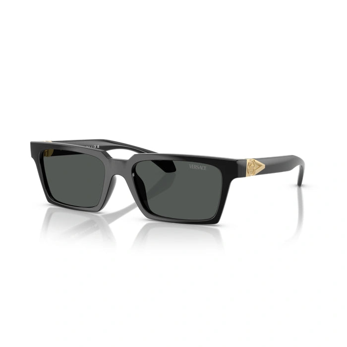 Versace 0VE4490U Gb1/87 - Black Man Sunglasses 6