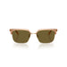 Versace 0VE4494D 551883 - Transparent Brown Man Sunglasses 4