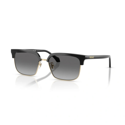 Versace 0VE4494D Gb1/11 - Black Man Sunglasses 1