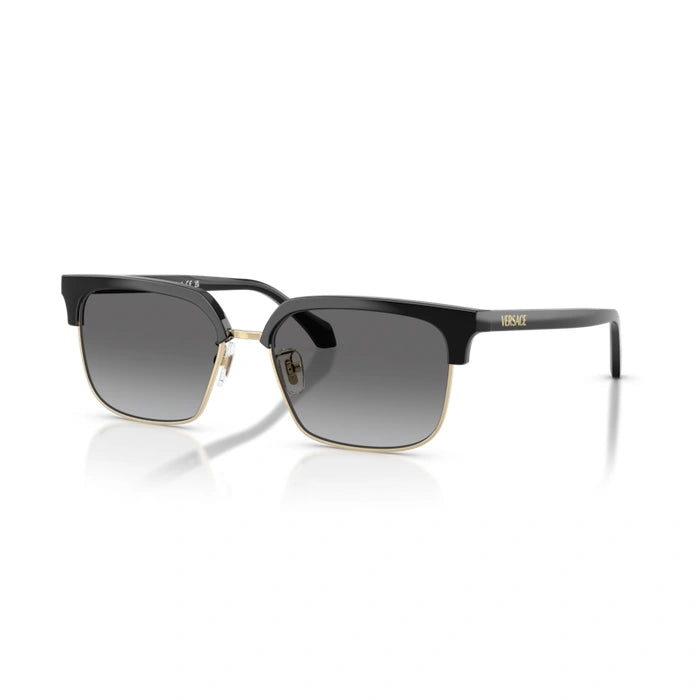 Versace 0VE4494D Gb1/11 - Black Man Sunglasses 6