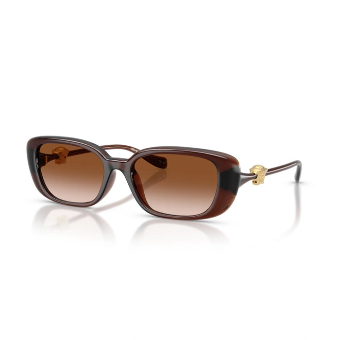 Versace 0VE4504D 533213 - Transparent Brown Woman Sunglasses 7