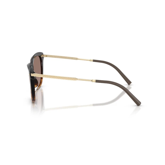 Oliver Peoples 0OV5597SU Cortado sunglasses for Woman 3