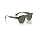 Oliver Peoples 0OV5593S Cortado sunglasses for Unisex 5