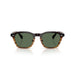 Oliver Peoples 0OV5593S Cortado sunglasses for Unisex 6