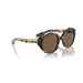 Oliver Peoples 0OV5511SU Vintage dtb sunglasses for Woman 5