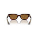Oliver Peoples 0OV5512SU Bordeaux bark sunglasses for Woman 4