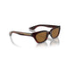 Oliver Peoples 0OV5512SU Bordeaux bark sunglasses for Woman 5