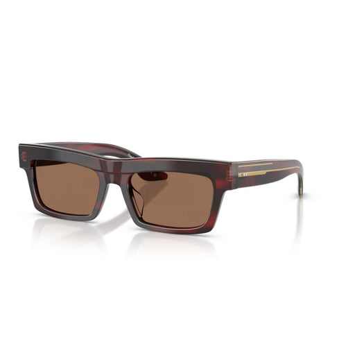 Oliver Peoples 0OV5606SU Bordeaux bark sunglasses for Woman 2