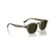 Oliver Peoples 0OV5580SU Soft olive bark sunglasses for Unisex 5