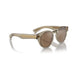 Oliver Peoples 0OV5571SU Sencha sunglasses for Unisex 4