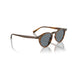 Oliver Peoples 0OV5504SU Sycamore sunglasses for Unisex 7