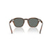 Oliver Peoples 0OV5546SU Sycamore sunglasses for Unisex 4