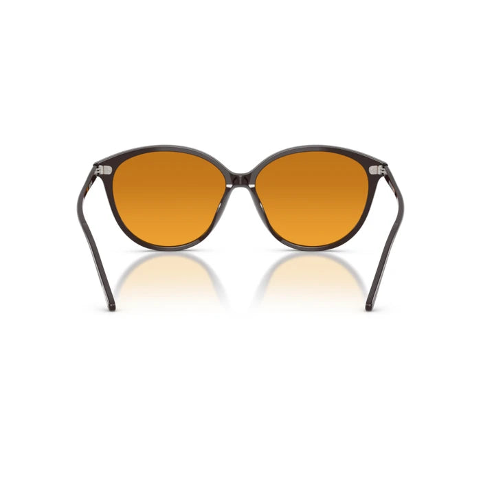 Oliver Peoples 0OV5605SU Kuri brown sunglasses for Woman 4