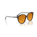 Oliver Peoples 0OV5605SU Kuri brown sunglasses for Woman 5