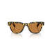 Oliver Peoples 0OV5601SU Tokyo tortoise sunglasses for Unisex 6