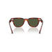 Oliver Peoples 0OV5601SU Koa tortoise sunglasses for Unisex 4