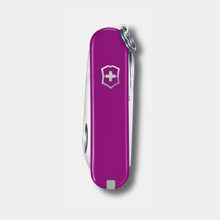 Victorinox Purple Classic SD Classic Colors Swiss Army Knife 0.6223.52G