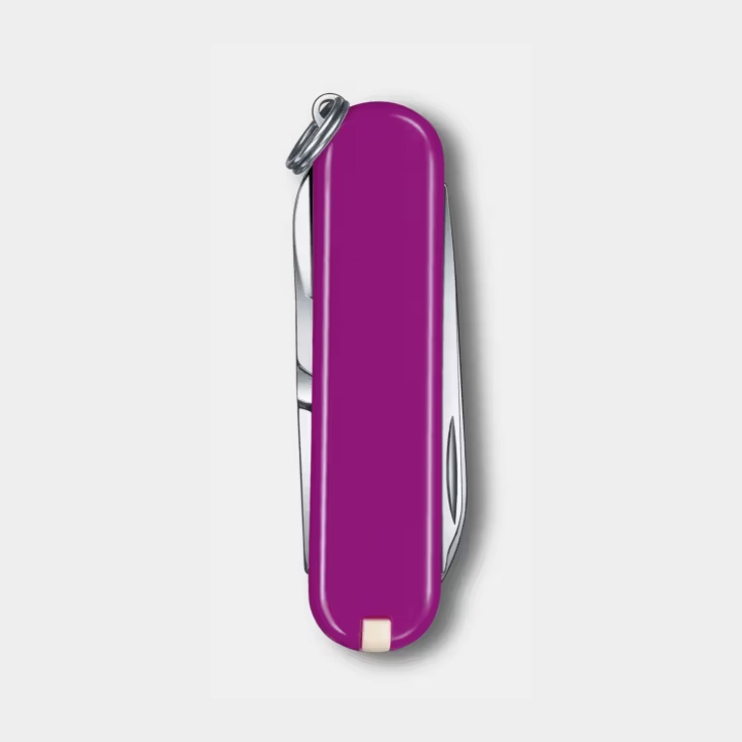 Victorinox Purple Classic SD Classic Colors Swiss Army Knife 0.6223.52G