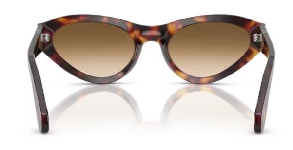 Persol 0PO0052S 24/51 Havana/Clear gradient Brown Cat Eye Women Sunglasses