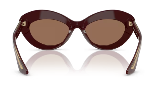 Oliver Peoples 0OV5523SU 178973 Burgundy Brown Cat Eye Women's Sunglasses