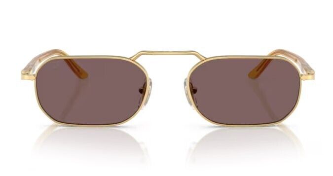 Persol 0PO1020S 112953 Gold /Violet Oval Shape Unisex Sunglasses