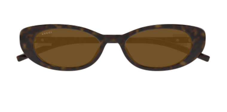 Gucci GG1681S 004 Havana/Brown Oval Cat Eye Women's Sunglasses