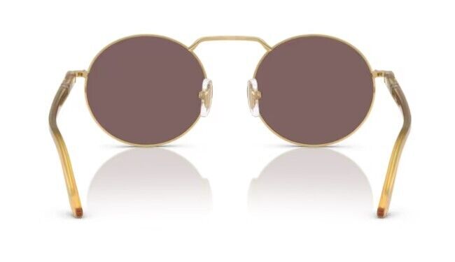 Persol 0PO1019S 112953 Gold / Violet Oval Shaped Unisex Sunglasses