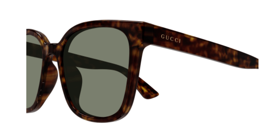 Gucci GG1346SK 003 Havana/Green Rectangle Men's Sunglasses