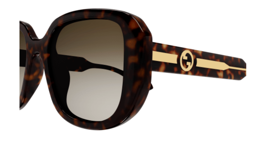 Gucci GG1557SK 002 Havana/Brown Gradient Oversized Square Women's Sunglasses