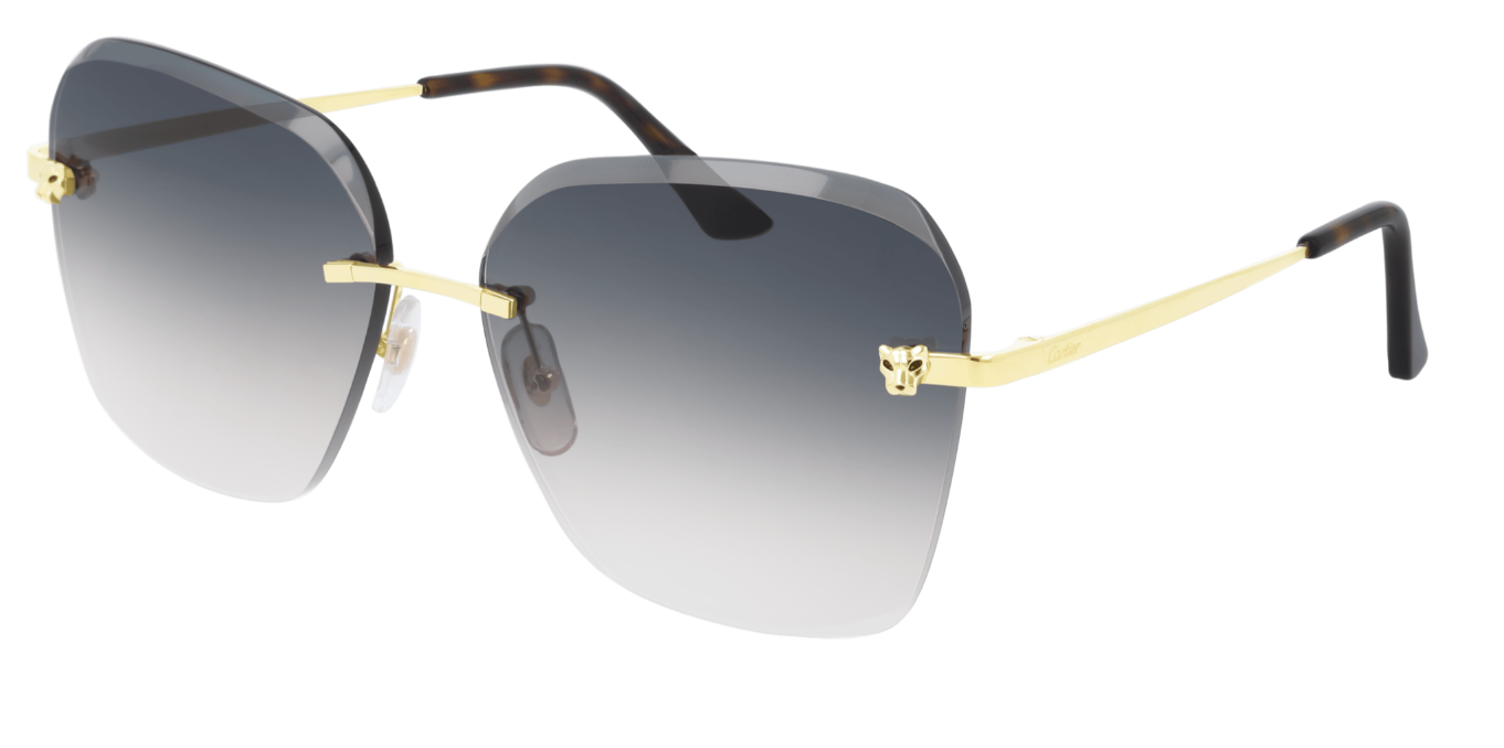 Cartier CT0147S-002 Brown/Gold Gradient Rectangle Women's Sunglasses