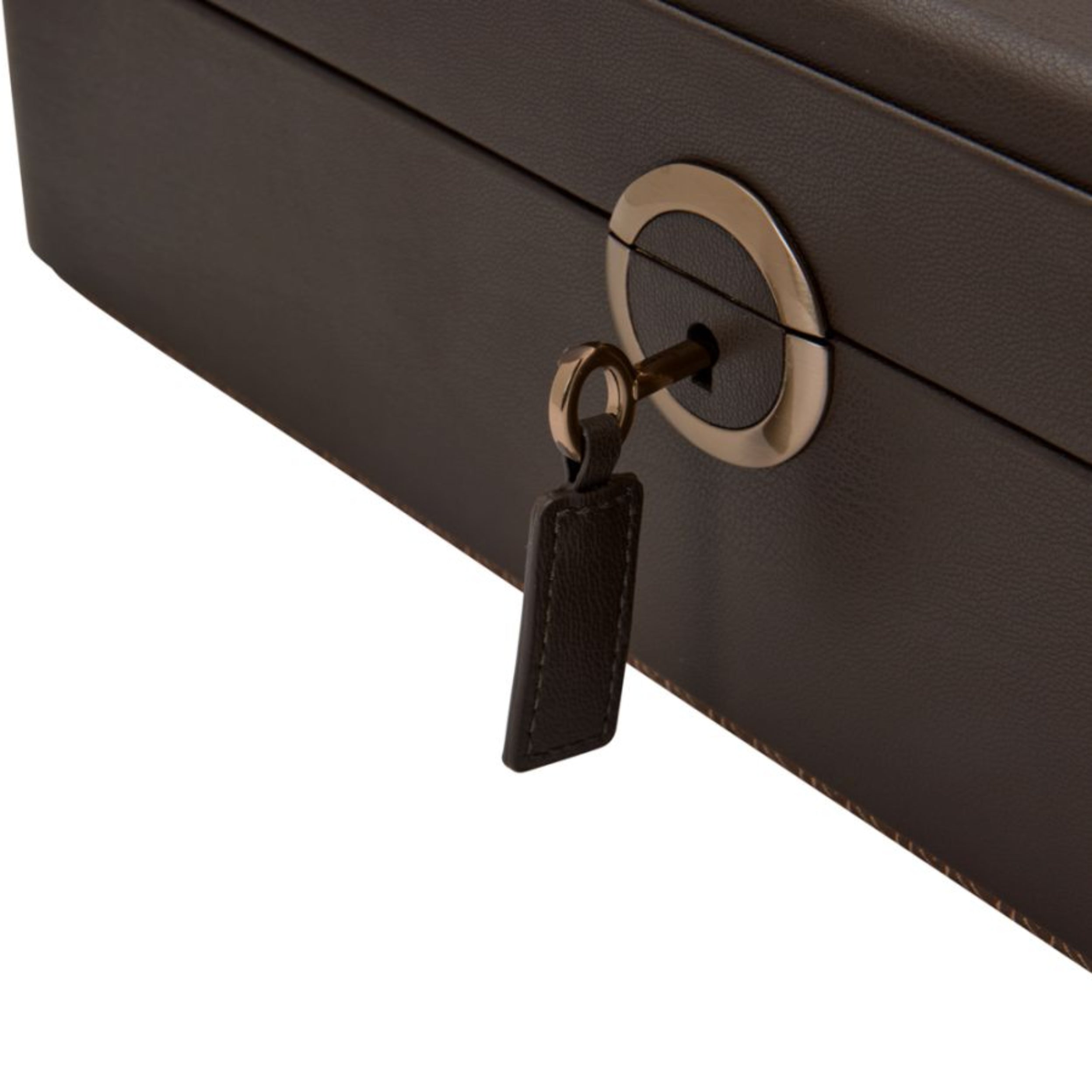 Wolf Earth 5 Piece Coffee Apple Leather Watch Box with Storage 190906