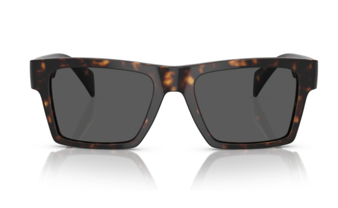 Versace VE4445F 108/87 Havana/Dark grey Rectangular Men's Sunglasses