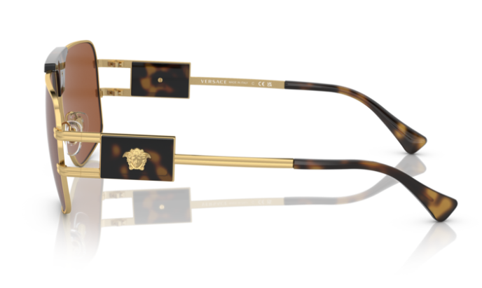 Versace VE2251 147073 Dark Brown/ Gold Rectangular Men's Sunglasses