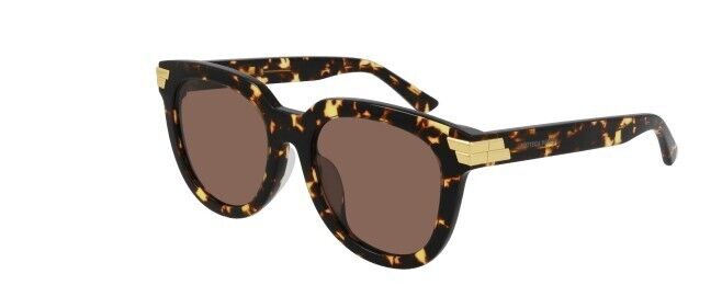 Bottega Veneta BV1104SA 002 Havana/Brown Round Women's Sunglasses