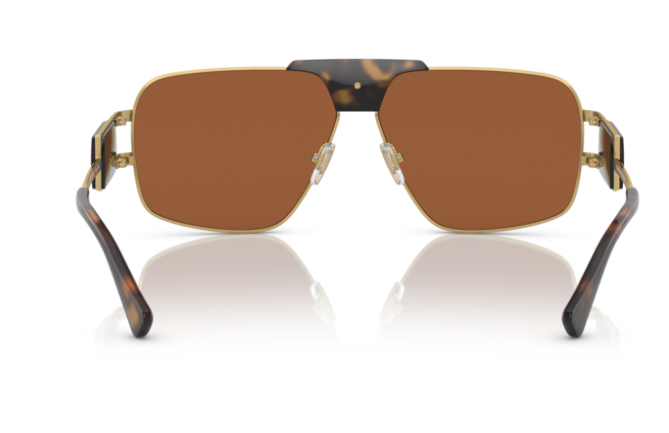 Versace VE2251 147073 Dark Brown/ Gold Rectangular Men's Sunglasses