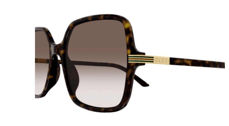 Gucci GG1449S 002 Havana/Brown Oversized Square Gradient Women's Sunglasses