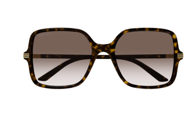 Gucci GG1449S 002 Havana/Brown Oversized Square Gradient Women's Sunglasses