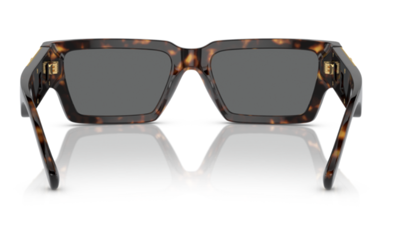 Versace 0VE4459F 108/87 Havana/Dark Grey Rectangular Men's Sunglasses