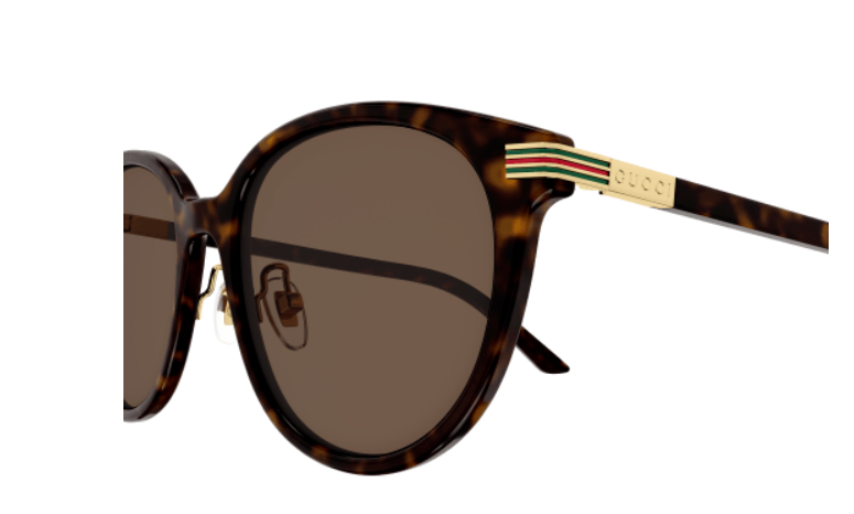 Gucci GG1452SK 002 Havana/Brown Cat Eye Women's Sunglasses
